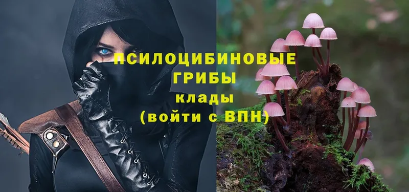 дарк нет телеграм  Ленск  Галлюциногенные грибы Magic Shrooms 